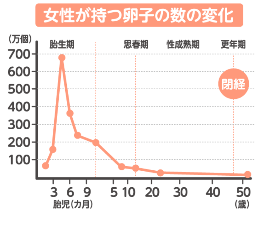 男性の年齢と精子の関係について