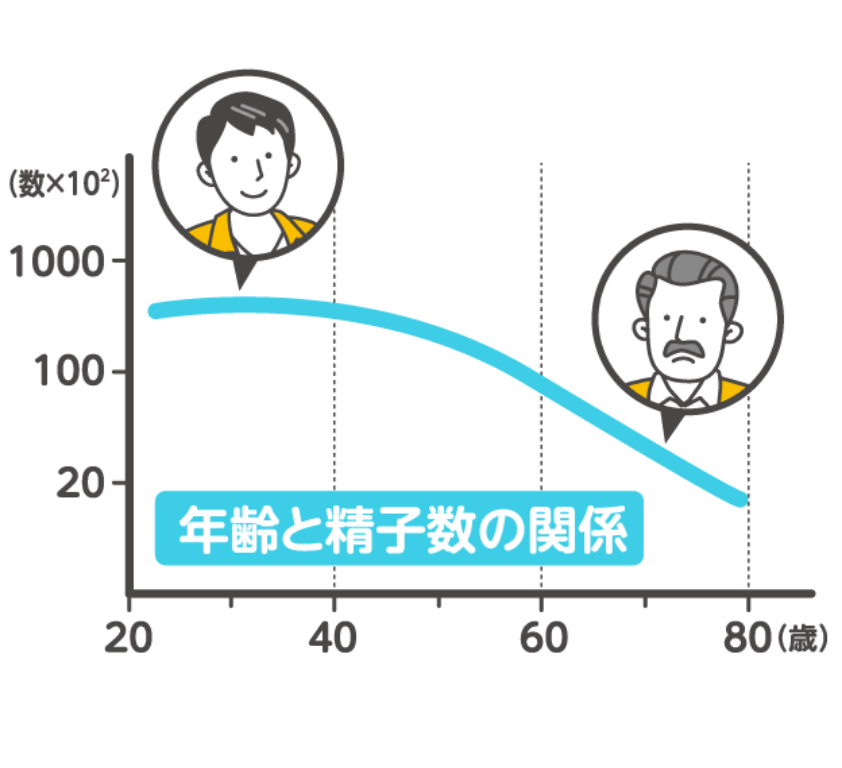 男性の年齢と精子の関係について